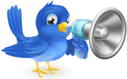 Formation « Promouvoir son entreprise sur Twitter » 1 journée