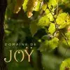 domaine-de-joy-référence